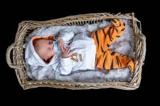 Vincent AIME - AIME VINCENT