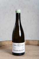 MARIA JULIA MARCHINI - MARIA MARCHINI